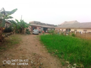 Image 1 Title
