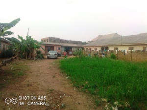 Image 1 Title