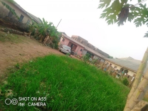Image 1 Title