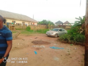 Image 1 Title