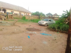 Image 1 Title