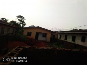 Image 1 Title