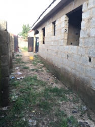 Image 1 Title