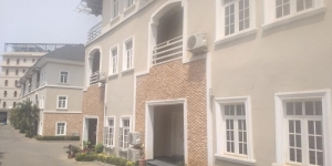 Tastefully Finished Serviced 4 Bedroom Terraced Duplex With A Room B/q For Rent In Asokoro. 4 bedroom Terraced Duplex for Rent Asokoro Abuja Vetra  Property