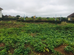 For Sale 500sqm Estates Land For Semi Detached Duplex  500 Meter Square of Land for Sale Lokogoma Abuja Vetra  Property