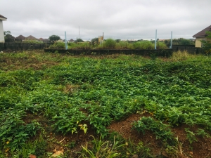 600sqm Estates Land For Detached Duplex  600 Meter Square of Land for Sale Lokogoma Abuja Vetra  Property