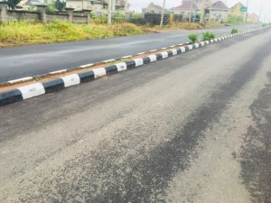 Image 1 Title