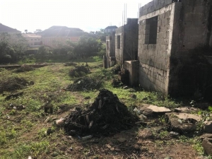 Image 1 Title