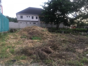 Image 1 Title