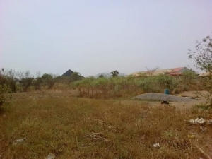 Image 1 Title