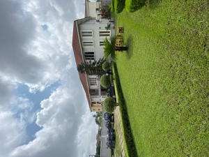Image 1 Title