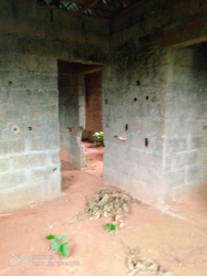 Image 1 Title