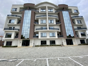 Image 1 Title