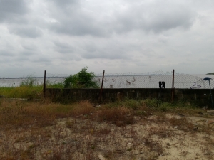 Fenced And Gated Land Measuring 4,098sqm In An Estate With C Of O 4,098 Meter Square of Land for Sale Ikoyi Lagos Vetra  Property
