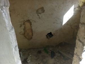 Image 1 Title