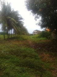 Image 1 Title