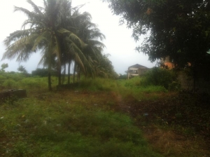 Image 1 Title