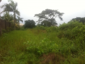 Image 1 Title