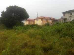 Image 1 Title