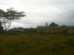 Image 1 Title
