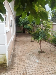 Image 1 Title
