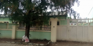 Image 1 Title