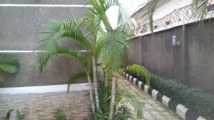 Image 1 Title