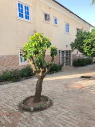 Image 1 Title