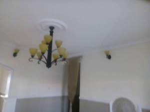 Image 1 Title