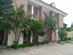 Super Clean And Spacious 4 Bedroom Duplex 4 bedroom Terraced Duplex for Rent Asokoro Abuja Vetra  Property