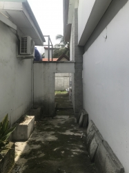 Image 1 Title