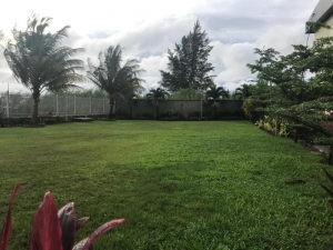 Image 1 Title