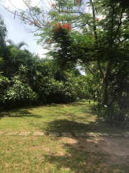 Image 1 Title