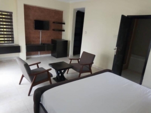 New & Furnished Ikoyi Apartment 3 bedroom Flat for Rent Ikoyi Lagos Vetra  Property