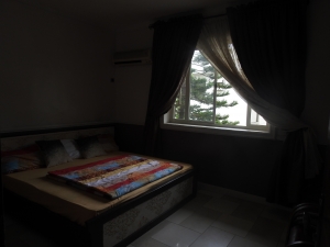 Image 1 Title