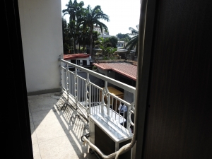 Image 1 Title
