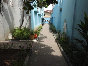 Image 1 Title