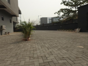 Image 1 Title