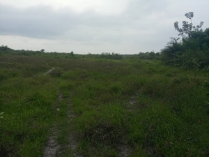 Land For Sale At Centenary City Awkunanaw Enugu State Land for Sale Enugu Enugu Vetra  Property