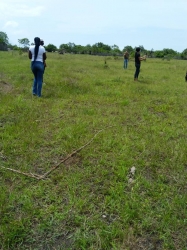 Land For Sale In Ibeju Lekki Lagos Land for Sale Ibeju Lekki Lagos Vetra  Property