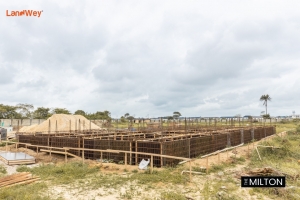 C Of O Land For Sale At Lekki Free Trade Zone Lagos Land for Sale Ibeju Lekki Lagos Vetra  Property