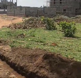 C Of O Land For Sale At Lekki Free Trade Zone Lagos Land for Sale Ibeju Lekki Lagos Vetra  Property