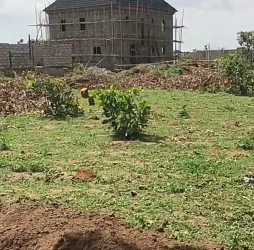 C Of O Residential Land For Sale In Ajah, Lagos State Land for Sale Ajah Lagos Vetra  Property