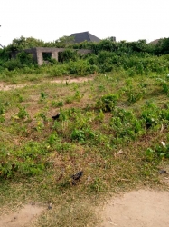 C Of O Dry Land For Sale At Sangotedo Lagos 600 Meter Square of Land for Sale Ajah Lagos Vetra  Property
