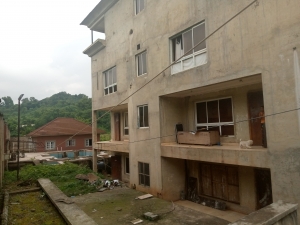Image 1 Title