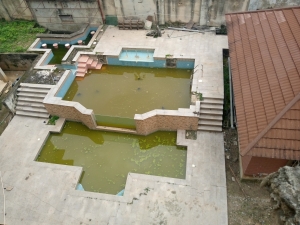 Image 1 Title