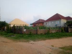 Image 1 Title