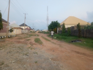 Image 1 Title