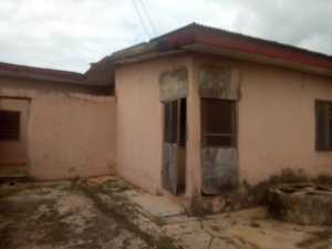 Image 1 Title