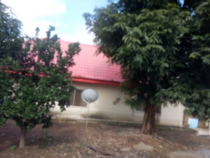 Image 1 Title